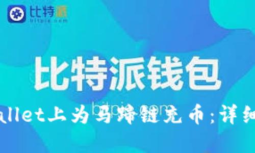 如何在TPWallet上为马蹄链充币：详细步骤与技巧