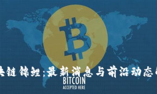 区块链锦鲤：最新消息与前沿动态解析