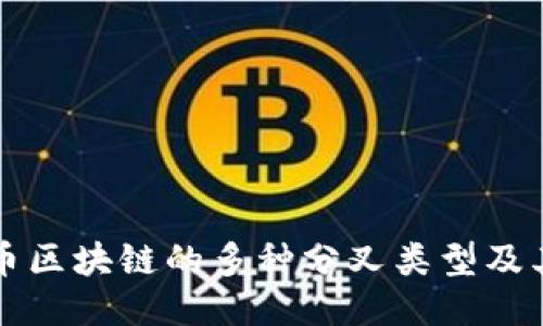 揭秘比特币区块链的多种分叉类型及其独特性质