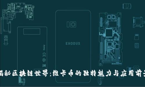 揭秘区块链世界：维卡币的独特魅力与应用前景