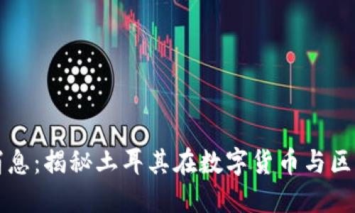 土耳其区块链最新消息：揭秘土耳其在数字货币与区块链领域的创新发展