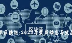 中国新区块链：2023年最新动态与发展趋势