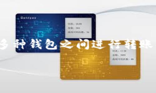在这个数字货币迅猛发展的时代，大众用户对于如何安全、便捷地进行加密货币的转账与交易，尤其是比特币的转账需求愈发迫切。尤其是在多种钱包之间进行转账的便利性，成为用户关心的重点。关于“比特币能否直接转到TPWallet”这一问题，本篇文章将为大家深入分析，并提供详细的解决方案和步骤。

比特币如何便捷转账至TPWallet：全面指南与实用技巧