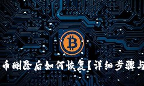 TPWallet币删除后如何恢复？详细步骤与技巧解析