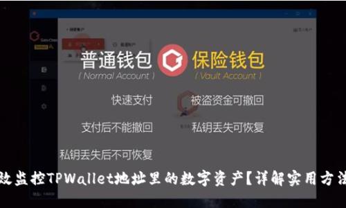 如何高效监控TPWallet地址里的数字资产？详解实用方法和工具