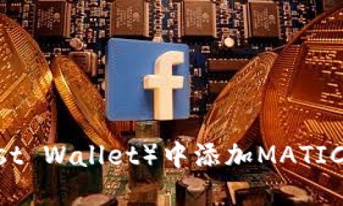 如何在TP（Trust Wallet）中添加MATIC钱包：全面指南