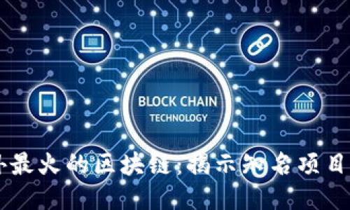 比特币之外最火的区块链：揭示知名项目与潜力巨星