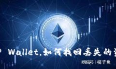 手机掉了TP Wallet，如何找回丢失的资金和信息？