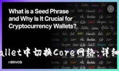 如何在TPWallet中切换Core网络：详细指南与技巧
