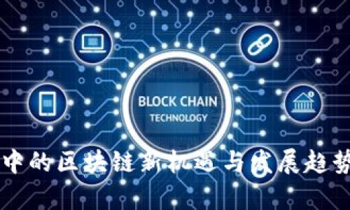 熊市中的区块链新机遇与发展趋势解析