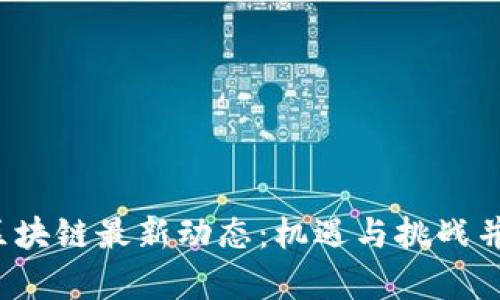 2023年南非区块链最新动态：机遇与挑战并存的前景解析