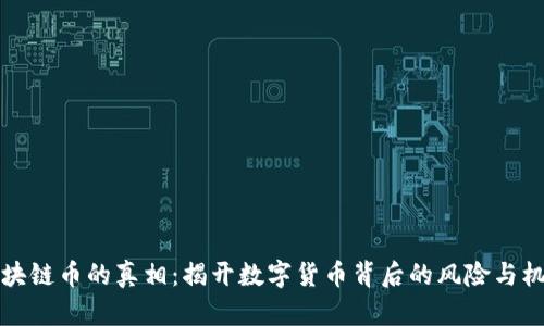 区块链币的真相：揭开数字货币背后的风险与机遇
