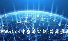 如何在TPWallet中查看公钥：简单步骤与技巧