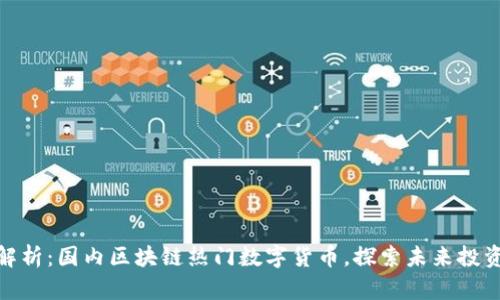 全面解析：国内区块链热门数字货币，探索未来投资机遇