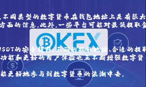 在讨论TPWallet提U是什么地址之前，我们需要先了解TPWallet和USDT。TPWallet是一种数字货币钱包，支持多种加密货币的存储和交易。而USDT（Tether）是一种锚定美元的稳定币，常用于在区块链上进行快速交易。

TPWallet的基本概念
TPWallet是一个安全且用户友好的数字货币钱包。它允许用户存储、发送和接收不同种类的数字货币。用户选择TPWallet的原因通常是其便捷的操作、良好的安全性以及对多币种的支持。随着数字货币市场的不断发展，越来越多的人开始使用这种类型的钱包。

什么是USDT？
USDT（Tether）是一种与美元挂钩的加密货币。这意味着1 USDT通常等于1美元。USDT的存在解决了数字货币市场高度波动的问题，为交易者提供了相对稳定的价值存储方式。
在交易中，USDT非常受欢迎，因为它可以避免在交易过程中出现大幅度的价格波动。这使得USDT成为了许多交易平台和钱包的首选数字货币。

TPWallet提U是什么地址？
提U是指用户将USDT从TPWallet提取到其他钱包或交易所的过程。“提U地址”通常指的是接收USDT的目标钱包地址。在将USDT从TPWallet提取到其他平台时，用户需要填写正确的接收地址以保证资金安全。
接收地址通常由一串字母和数字组合而成，具有特定的长度和格式。确保在提U时仔细输入地址，任何的错误都会导致资金的丢失，因此，在提取之前，一定要三思而后行。

如何找到TPWallet的提U地址？
找到TPWallet的提U地址其实并不复杂。首先，用户需要登录自己的TPWallet。接下来，选择“USDT”选项，并点击“提取”按钮。系统会提示用户输入接收地址和提取数量。
在输入接收地址时，通常有“复制地址”的功能，用户可以通过该功能直接从其他钱包或交易所复制地址，避免手动输入带来的错误。同时，用户要核实提取数量，以确保提取的USDT能满足自己的需求。

TPWallet提U时需要注意的事项
在使用TPWallet提U时，用户需要注意几个关键点。首先，一定要确认提取的地址是与USDT兼容的钱包地址。不同类型的数字货币在钱包地址上是有很大区别的。如果将USDT提到错误的钱包地址，可能会导致资金损失。
其次，确认提取的数量及其手续费。许多钱包和交易所在提取时都会收取一定的手续费，因此要提前了解这方面的信息。此外，一些平台可能对最低提取金额有规定，用户在提取时也要遵循这些规定。

总结
TPWallet提U的过程虽然简单，但在操作中需要保持高度的警觉性和谨慎。每个步骤都需确认无误，以确保USDT的安全转移。正确的提取地址、合适的提取数量以及理智的决策都是成功提C的关键。
未来，TPWallet将继续为用户提供更加便捷和安全的数字货币管理体验。随着数字货币市场的发展，更多的功能和更好的用户体验也正不断增强数字货币的应用场景。

结束语，不论是资深玩家还是新手用户，了解如何在TPWallet中正确提U都是非常重要的一步，只有这样，才能更好地参与到数字货币的浪潮中去。