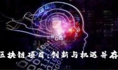 探秘云币网EOS区块链项目：创新与机遇并存的未