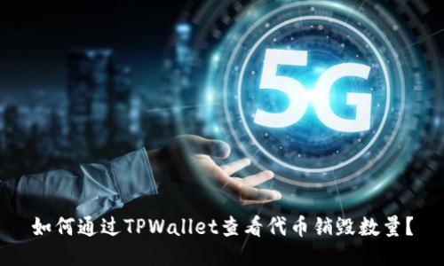 如何通过TPWallet查看代币销毁数量？