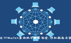 如何通过TPWallet查询池子是否锁定：详细指南与实