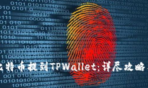 中本聪如何将比特币提到TPWallet：详尽攻略与常见问题解答
