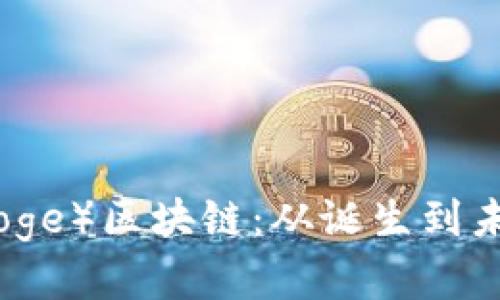 全面解读狗币（Doge）区块链：从诞生到未来的潜力与挑战