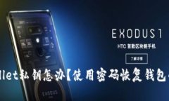 忘记TPWallet私钥怎办？使用密码恢复钱包的详细指