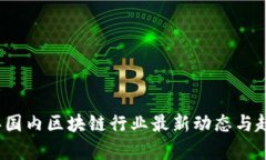 2023年国内区块链行业最新动态与趋势分析