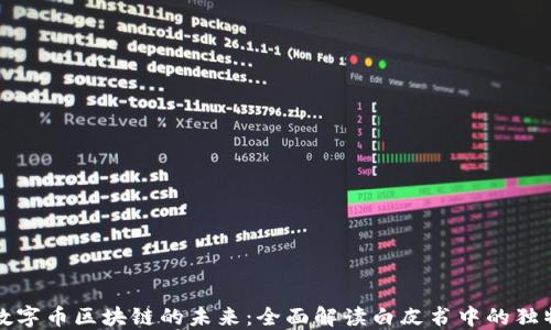 
探索数字币区块链的未来：全面解读白皮书中的独特卖点