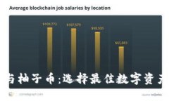 区块链技术与柚子币：选择最佳数字资产的终极