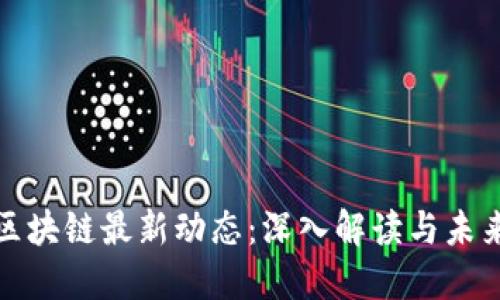 栖霞区块链最新动态：深入解读与未来趋势