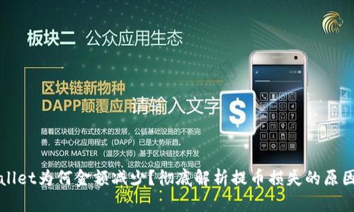 提币到TPWallet为何金额减少？彻底解析提币损失的原因与应对策略