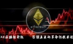 RVAE区块链升级——引领未来的革命性技术进步