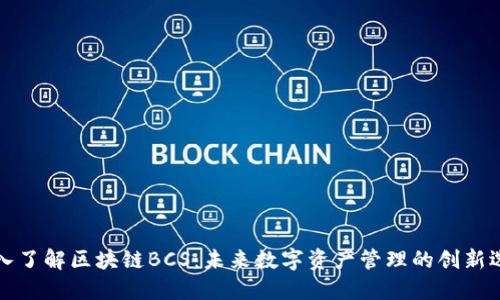 深入了解区块链BCS：未来数字资产管理的创新选择