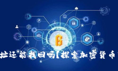 TP Wallet转错地址还能找回吗？探索加密货币转账恢复的可能性