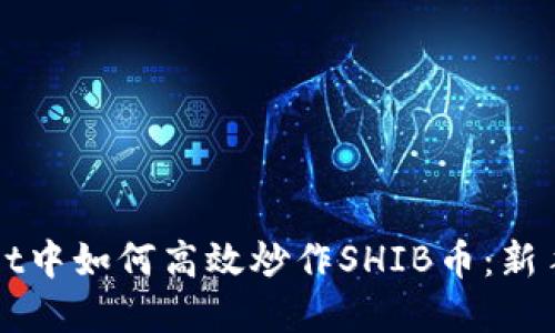 在TPWallet中如何高效炒作SHIB币：新手必备指南