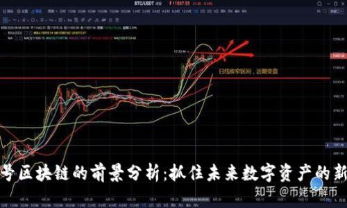 115号区块链的前景分析：抓住未来数字资产的新机遇
