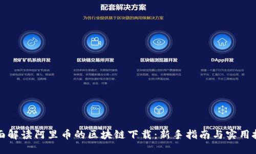 全面解读阿里币的区块链下载：新手指南与实用技巧