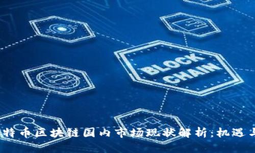 2023年比特币区块链国内市场现状解析：机遇与挑战并存