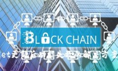 TPWallet更新后功能失效的解决方案与技巧