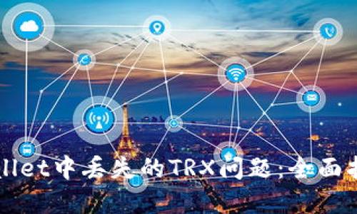 如何解决TPWallet中丢失的TRX问题：全面指南与解决方案
