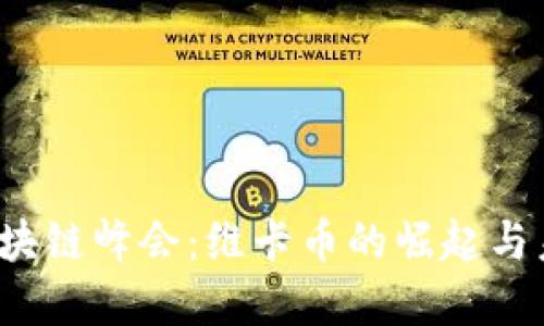 2017区块链峰会：维卡币的崛起与未来展望