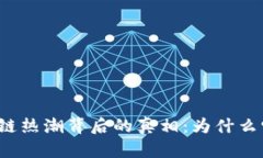 揭示虚拟币区块链热潮背后的真相：为什么它们