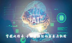 掌握比特币：全球区块链的未来与机遇