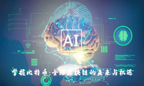 掌握比特币：全球区块链的未来与机遇