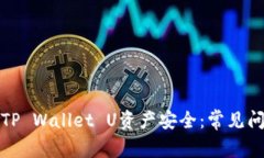 如何确保您的TP Wallet U资产安全：常见问题与解决