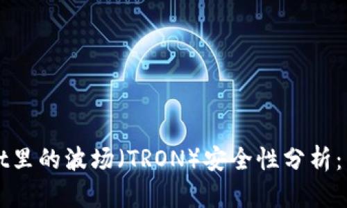 TPWallet里的波场（TRON）安全性分析：用户必读