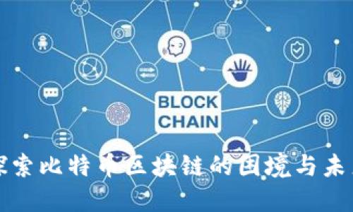 深入探索比特币区块链的困境与未来发展