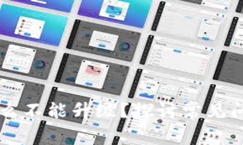 TPWallet为什么不能升级？探讨常见问题与解决方案