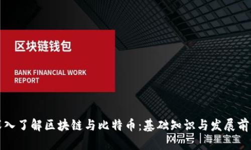 深入了解区块链与比特币：基础知识与发展前景