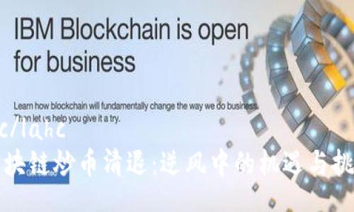lahc/lahc
《区块链炒币清退：逆风中的机遇与挑战》