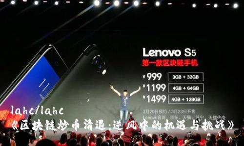 lahc/lahc
《区块链炒币清退：逆风中的机遇与挑战》